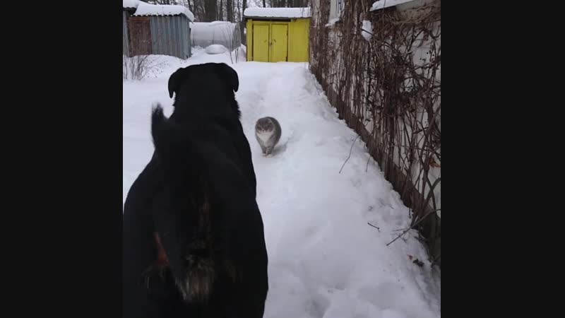 VID_72220823_101112_757.mp4