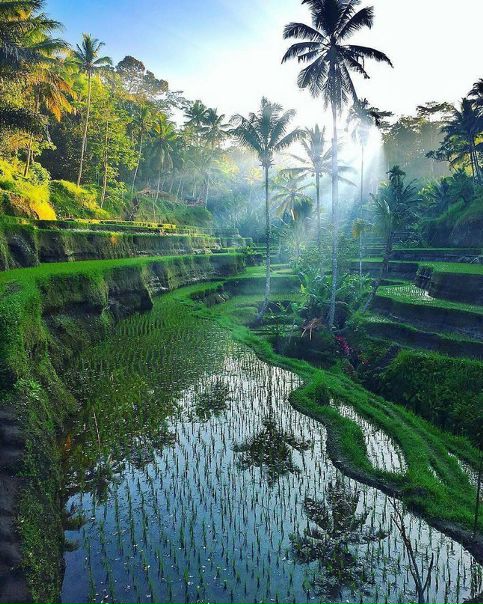 Bali, Indonesia.