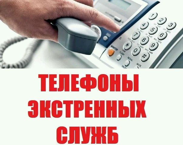Телефоны Петербурга для экстренных обстоятельств. <br><br>• МЧС — 112 — единый номер службы спасения для звонков с сотовых телефонов в экстренных ситуациях <br><br>— Телефоны Дежурной части (круглосуточно): 380-91-19 (многоканальный), 545-47-45, 545-35-18 <br><br>— Телефон спасения: 01 <br><br>• Телефоны «горячей линии жалоб»: <br>— Центр по приему обращений граждан по всем вопросам, связанным с качеством оказываемых услуг ЖКХ - 004 <br>— «Горячая» линия ГУП «Водоканал СПб»: 305-09-09 <br>— «Горячая» линия ГРО <br>— «ПетербургГаз»: 610-04-04 <br>— «Зеленая линия». «Горячая» линия Комитета по природопользованию, охране окружающей среды и обеспечению экологической безопасности: 540-40-45 <br><br>• Отдел по делам гражданской обороны, чрезвычайным ситуациям и пожарной безопасности Комитета по вопросам законности, правопорядка и безопасности <br>Телефон оперативного дежурного сектора мониторинга и прогнозирования: 575-75-57 <br><br>— Федеральная служба судебных приставов, телефон доверия: 571-79-87. <br><br>• Аварийные ситуации в быту: <br>— При запахе газа звонить: 04 <br>— Повреждения освещения на уличных эл. сетях - 312-95-94 <br>— Повреждения водопроводной уличной сети (холодная вода): 305-09-09 <br>— Повреждения водопроводной уличной сети (горячая вода): 315-13-13 <br>— Кабельная сеть: 494-36-80 <br>— Информационный центра ГУП «ТЭК СПб»: 334-30-80 <br>— Центр по приему обращений граждан по всем вопросам, связанным с качеством оказываемых услуг ЖКХ: 004 <br><br>— Претензионная служба ГУП «Организатор перевозок» (работа общественного транспорта): 576-55-55. <br><br>— Главное управление внутренних дел по Санкт-Петербургу и Ленинградской области <br>Справочная служба ГУВД: 573-26-76 <br><br>— Телефон доверия Управления собственной безопасности: 541-02-02 — Дежурная часть <br><br>— Дежурная часть Управления уголовного розыска: 573-21-77 <br><br>— Начальник Управления охраны общественного порядка: 573-23-22. <br><br>— О замеченных подозрительных лицах и предметах можно сообщить по специальным телефонам: <br>ГУВД 573-21-81, 573-21-84, 573-23-09 <br><br>— Дежурная часть ГУВД: 573-21-84 <br><br>— Телефон доверия ГУВД (круглосуточно): 573-21-81. <br><br>• Суд: <br>— Санкт-Петербургский городской суд: 273-10-81 <br>— Областной суд: 273-08-26. <br><br>• Прокуратура: <br>— Городская прокуратура: 312-81-90 <br>— Областная прокуратура: 542-02-45. <br><br>• УГИБДД: <br>— Телефон доверия УГИБДД 335-43-80 <br>— Телефон для вопросов о деятельности УГИБДД 234-90-21. <br><br>• Адвокатура: <br>— Президиум Санкт-Петербургской Коллегии адвокатов; Адвокатская палата Санкт-Петербурга: 713-14-03 <br>— Президиум Ленинградской областной Коллегии: 273-00-86 <br>— Международная Коллегия Адвокатов «Санкт-Петербург» 275-10-71. <br><br>• Здравоохранение: <br>— Городская станция скорой помощи - 03 <br>—Территориальный фонд ОМС Санкт-Петербурга: 703-7-301 <br>— «Горячая линия»: 346-35-70 <br>— Справочное о наличии лекарств в городе: 635-55-66 <br>—Дежурная аптека: 314-54-01 <br>— Наркологический телефон доверия: 714-42-10 <br>— Телефон доверия для взрослых, детей и подростков: 476-71-04 <br>— Горячая линия Комитета по здравоохранению СПб 635-55-77 <br>— Телефон претензий по работе городской скорой помощи 571-45-04. <br><br>— Санкт-Петербургское региональное отделение Фонда социального страхования Российской Федерации: 677-87-17. <br><br>— Инспекция труда в городе Санкт-Петербурге: 746-59-86. <br><br>— Информационно-справочная телефонная служба социальной защиты населения: 334-41-44. <br><br>— Отделение Пенсионного фонда Роcсийской Федерации по Санкт-Петербургу и Ленинградской области: <br>— Телефоны горячей линии: <br>для населения - (812) 292-85-92, 292-85-56; <br>— для страхователей - (812) 292-81-62. <br><br>•Права потребителя <br>—«Центр контроля качества товаров (продукции), работ и услуг»: 274-14-30 - фото Фото: Телефоны Петербурга для экстренных обстоятельств. <br><br>• МЧС — 112 — единый номер службы спасения для звонков с сотовых телефонов в экстренных ситуациях <br><br>— Телефоны Дежурной части (круглосуточно): 380-91-19 (многоканальный), 545-47-45, 545-35-18 <br><br>— Телефон спасения: 01 <br><br>• Телефоны «горячей линии жалоб»: <br>— Центр по приему обращений граждан по всем вопросам, связанным с качеством оказываемых услуг ЖКХ - 004 <br>— «Горячая» линия ГУП «Водоканал СПб»: 305-09-09 <br>— «Горячая» линия ГРО <br>— «ПетербургГаз»: 610-04-04 <br>— «Зеленая линия». «Горячая» линия Комитета по природопользованию, охране окружающей среды и обеспечению экологической безопасности: 540-40-45 <br><br>• Отдел по делам гражданской обороны, чрезвычайным ситуациям и пожарной безопасности Комитета по вопросам законности, правопорядка и безопасности <br>Телефон оперативного дежурного сектора мониторинга и прогнозирования: 575-75-57 <br><br>— Федеральная служба судебных приставов, телефон доверия: 571-79-87. <br><br>• Аварийные ситуации в быту: <br>— При запахе газа звонить: 04 <br>— Повреждения освещения на уличных эл. сетях - 312-95-94 <br>— Повреждения водопроводной уличной сети (холодная вода): 305-09-09 <br>— Повреждения водопроводной уличной сети (горячая вода): 315-13-13 <br>— Кабельная сеть: 494-36-80 <br>— Информационный центра ГУП «ТЭК СПб»: 334-30-80 <br>— Центр по приему обращений граждан по всем вопросам, связанным с качеством оказываемых услуг ЖКХ: 004 <br><br>— Претензионная служба ГУП «Организатор перевозок» (работа общественного транспорта): 576-55-55. <br><br>— Главное управление внутренних дел по Санкт-Петербургу и Ленинградской области <br>Справочная служба ГУВД: 573-26-76 <br><br>— Телефон доверия Управления собственной безопасности: 541-02-02 — Дежурная часть <br><br>— Дежурная часть Управления уголовного розыска: 573-21-77 <br><br>— Начальник Управления охраны общественного порядка: 573-23-22. <br><br>— О замеченных подозрительных лицах и предметах можно сообщить по специальным телефонам: <br>ГУВД 573-21-81, 573-21-84, 573-23-09 <br><br>— Дежурная часть ГУВД: 573-21-84 <br><br>— Телефон доверия ГУВД (круглосуточно): 573-21-81. <br><br>• Суд: <br>— Санкт-Петербургский городской суд: 273-10-81 <br>— Областной суд: 273-08-26. <br><br>• Прокуратура: <br>— Городская прокуратура: 312-81-90 <br>— Областная прокуратура: 542-02-45. <br><br>• УГИБДД: <br>— Телефон доверия УГИБДД 335-43-80 <br>— Телефон для вопросов о деятельности УГИБДД 234-90-21. <br><br>• Адвокатура: <br>— Президиум Санкт-Петербургской Коллегии адвокатов; Адвокатская палата Санкт-Петербурга: 713-14-03 <br>— Президиум Ленинградской областной Коллегии: 273-00-86 <br>— Международная Коллегия Адвокатов «Санкт-Петербург» 275-10-71. <br><br>• Здравоохранение: <br>— Городская станция скорой помощи - 03 <br>—Территориальный фонд ОМС Санкт-Петербурга: 703-7-301 <br>— «Горячая линия»: 346-35-70 <br>— Справочное о наличии лекарств в городе: 635-55-66 <br>—Дежурная аптека: 314-54-01 <br>— Наркологический телефон доверия: 714-42-10 <br>— Телефон доверия для взрослых, детей и подростков: 476-71-04 <br>— Горячая линия Комитета по здравоохранению СПб 635-55-77 <br>— Телефон претензий по работе городской скорой помощи 571-45-04. <br><br>— Санкт-Петербургское региональное отделение Фонда социального страхования Российской Федерации: 677-87-17. <br><br>— Инспекция труда в городе Санкт-Петербурге: 746-59-86. <br><br>— Информационно-справочная телефонная служба социальной защиты населения: 334-41-44. <br><br>— Отделение Пенсионного фонда Роcсийской Федерации по Санкт-Петербургу и Ленинградской области: <br>— Телефоны горячей линии: <br>для населения - (812) 292-85-92, 292-85-56; <br>— для страхователей - (812) 292-81-62. <br><br>•Права потребителя <br>—«Центр контроля качества товаров (продукции), работ и услуг»: 274-14-30