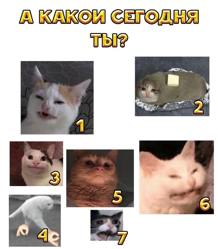 jAR3xcj41LM.jpg