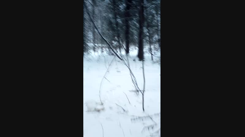 VID_20181210_135528.3gp