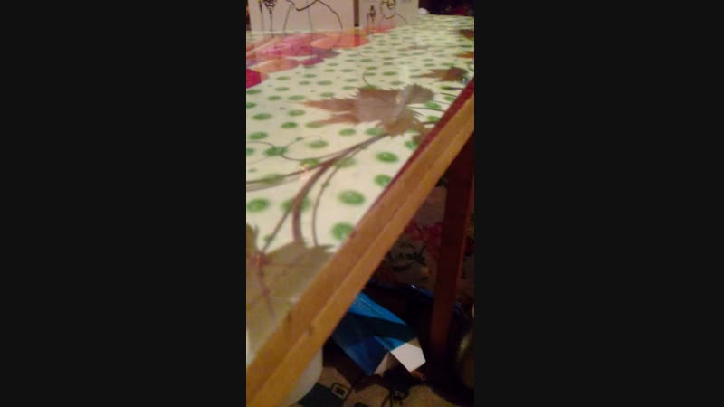 20190123_190554.mp4