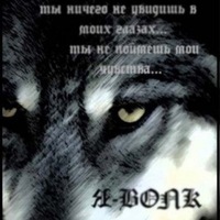 Виктор Шалаев | Санкт-Петербург