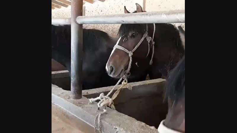 Мұрат Арман Сүйіндікұлы