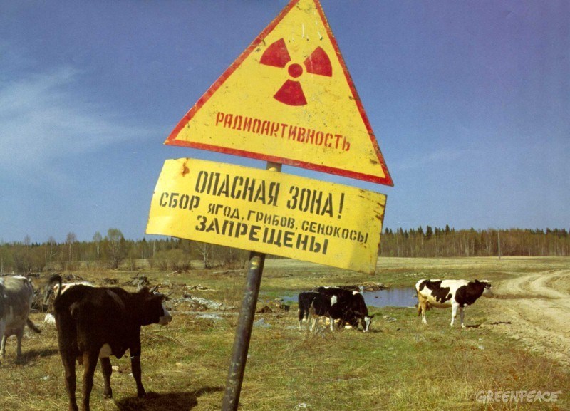 Экологи потребовали раскрыть информацию о радиоактивных отходах в Томской области Экологи потребовали раскрыть информацию о радиоактивных отходах в Томской области
