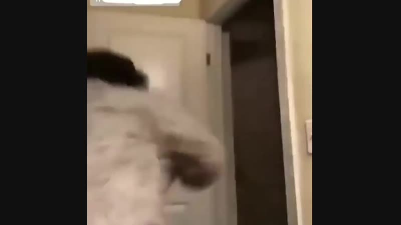 Когда она скинула интимки