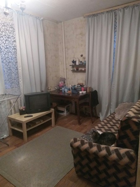Ищу себе соседку в 1-ую квартиру, которая находится в 10 минутах ходьбы от метро Щелковская.<br>В квартире всё необходимое для комфортного проживания имеется. Обстановка хоть и старенькая, но довольно уютная. <br>Я проживаю в этой квартире уже 4 года, хозяйка более чем адекватна, за всё время видела её только 4 раза, деньги перечисляются ей на карту.<br>В соседке хотелось бы видеть взрослую, адекватную, лёгкую на подъём девушку. Без аллергии на животных, у меня кот. Чистоплотную и аккуратную, но без фанатизма. Я работаю по плавающему графику, 1 или 2 выходных в неделю, с 11 утра и до 11 вечера, попрошу это учесть, так как прихожу домой довольно поздно поэтому работнику офиса будет сложно со мной ужиться. <br>По оплате 14000 руб/месяц, оплата до 10 числа каждого месяца. Залог не требуется. <br>Я ищу СОСЕДКУ, а не соседа, поэтому молодые люди не тратьте ни своё, ни моё время!!)) <br>Пишите, задавайте вопросы, всем отвечу.))<br> Цивилева - фото Фото: Ищу себе соседку в 1-ую квартиру, которая находится в 10 минутах ходьбы от метро Щелковская.<br>В квартире всё необходимое для комфортного проживания имеется. Обстановка хоть и старенькая, но довольно уютная. <br>Я проживаю в этой квартире уже 4 года, хозяйка более чем адекватна, за всё время видела её только 4 раза, деньги перечисляются ей на карту.<br>В соседке хотелось бы видеть взрослую, адекватную, лёгкую на подъём девушку. Без аллергии на животных, у меня кот. Чистоплотную и аккуратную, но без фанатизма. Я работаю по плавающему графику, 1 или 2 выходных в неделю, с 11 утра и до 11 вечера, попрошу это учесть, так как прихожу домой довольно поздно поэтому работнику офиса будет сложно со мной ужиться. <br>По оплате 14000 руб/месяц, оплата до 10 числа каждого месяца. Залог не требуется. <br>Я ищу СОСЕДКУ, а не соседа, поэтому молодые люди не тратьте ни своё, ни моё время!!)) <br>Пишите, задавайте вопросы, всем отвечу.))<br> Цивилева