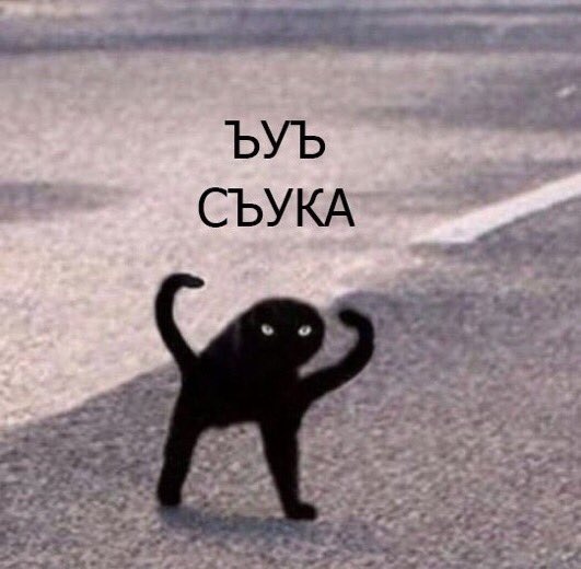 https://pp.userapi.com/c846322/v846322112/19b068/C_-Nv2Knr_U.jpg