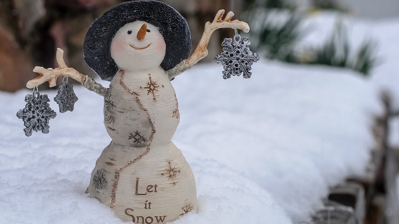 Кошки в нашей жизни. Кошки и все, что с ними связано.