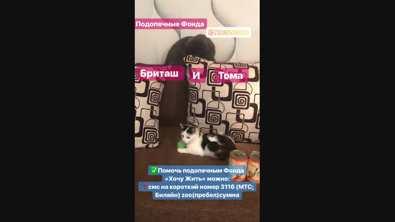 Развоз подарков с Акции 04.11.2018
