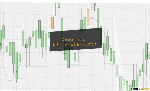 советник Daily Scalp.mq4