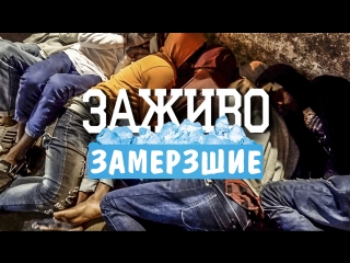 Восхождение на Пик Адама. Замерзшая Шри Ланка: путешествие выше облаков. Выпуск 11