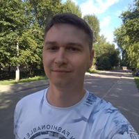 Дмитрий Стрельцов