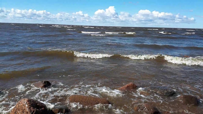 20180623_100536.mp4