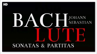 2 Hours Bach Sonatas & Partitas For Lute | Classical Baroque Music | Reading Studying Focus