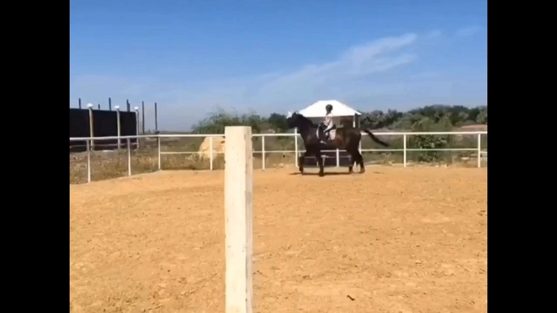 Я и мой верный конь Интервал🐴🏇