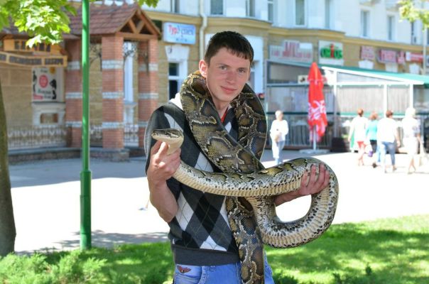 Пропал В Новогоднюю Ночь Пропал В Новогоднюю Ночь