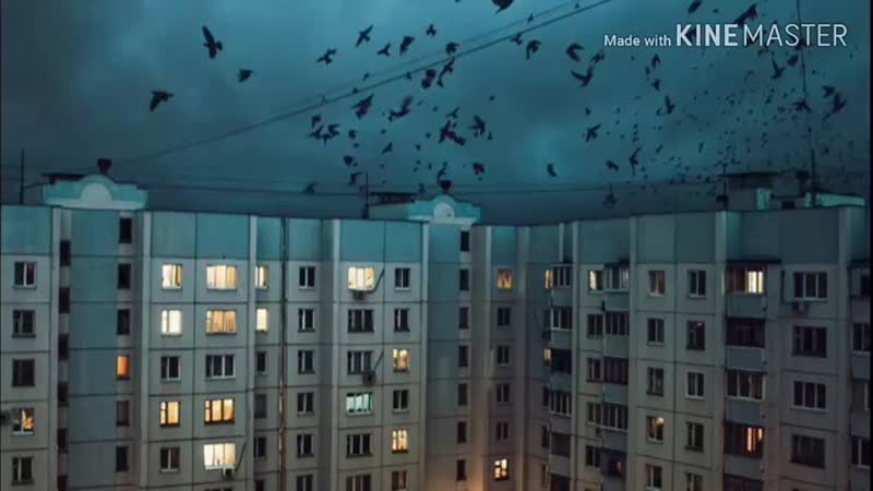 VID_25110928_201521_249.mp4