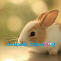 Софья Гончарова | 