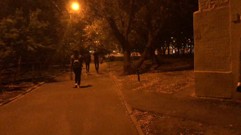 ты видеоблоггер