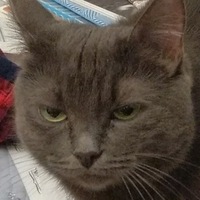 Владимир Тен | Москва