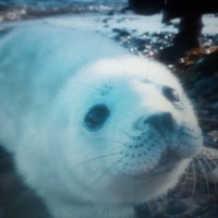 Степан Власов | Владивосток