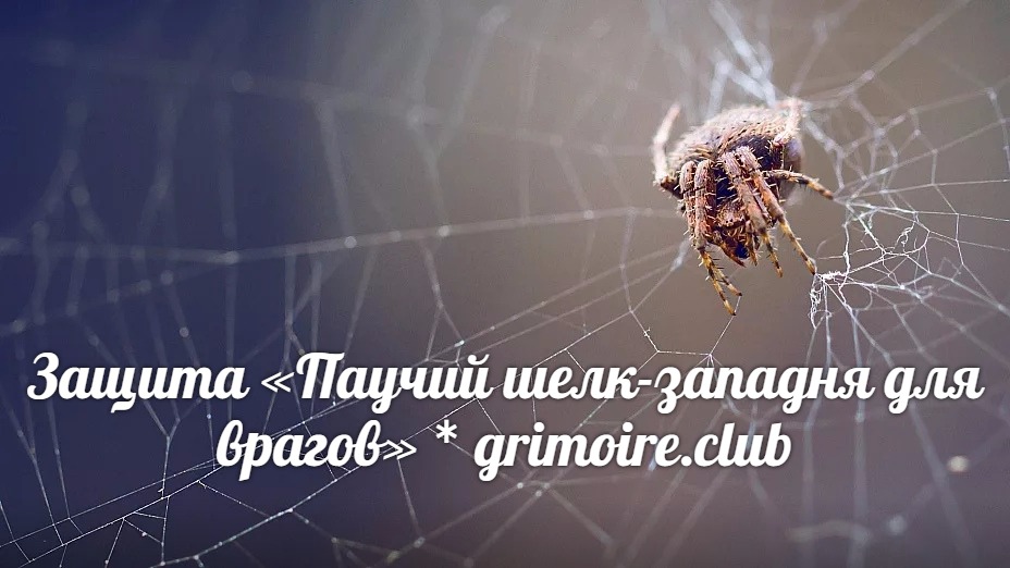 https://pp.userapi.com/c846323/v846323582/cf5db/qX6cahv_q74.jpg