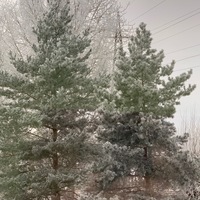 Пётр Петров