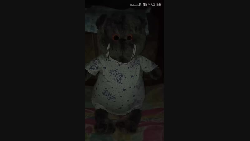 1080_30_3.33_Jan202019_06.mp4