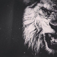 Илья Абрамов