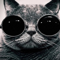 Альберт Галеев | 