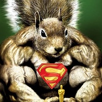 Дмитрий Гуляев | Санкт-Петербург