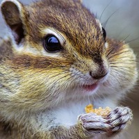 Александр Ревва |