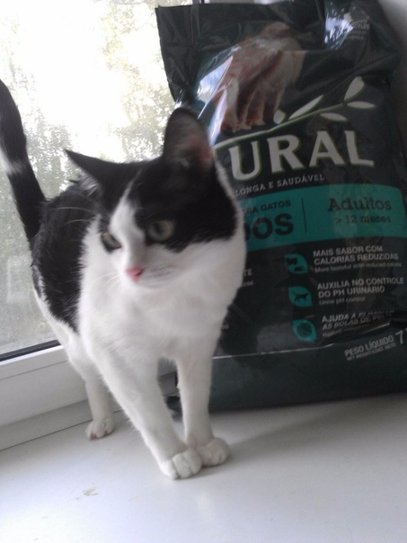 #ищу_дом@vmestepnz_animals
Милана ищет дом

Город: Пенза
