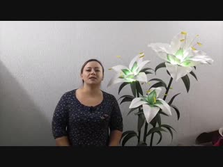 Лилии | Бесплатный мк