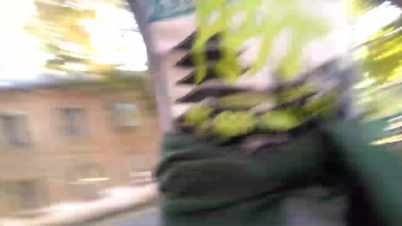 Hi bich