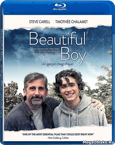 Красивый мальчик / Beautiful Boy (2018/BDRip/HDRip) Красивый мальчик / Beautiful Boy (2018/BDRip/HDRip)