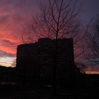 Даша Зверева | 
