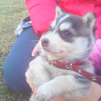 Соня Котова | Красноярск