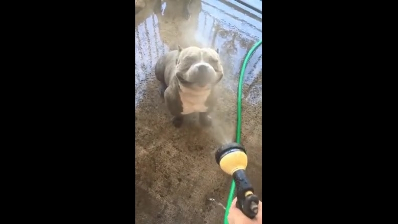 Doc323641939_472774355.mp4
