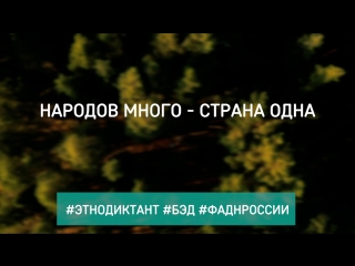 БЭД_01