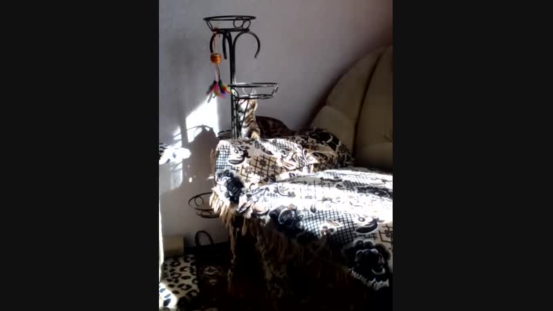 VID_20181013_120846.3gp