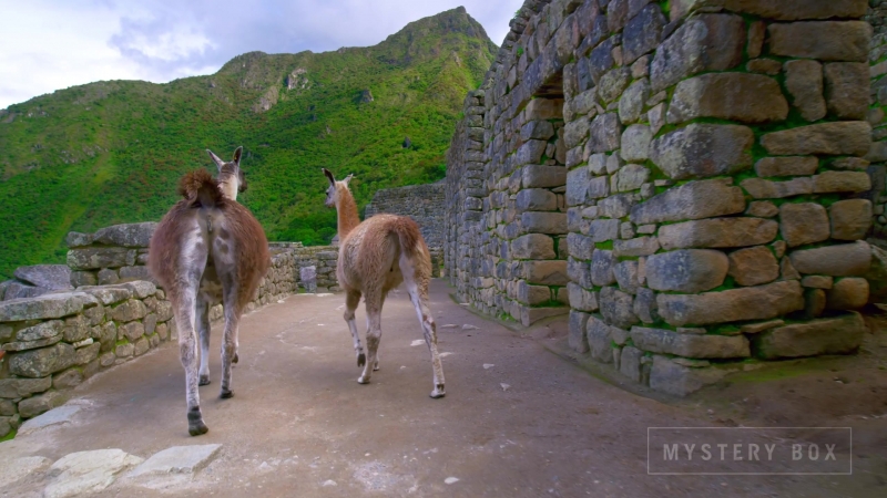 Peru 8K HDR 60FPS (FUHD)