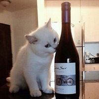 Александр Каримов