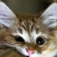 Федор Александров |