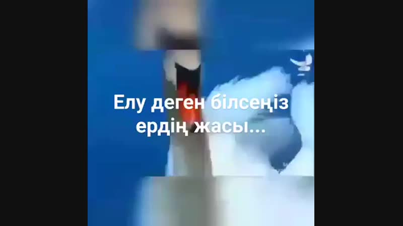 50 жас
