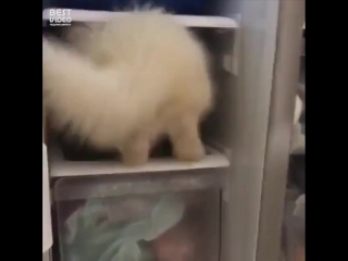 К чёрту это ваше лето...