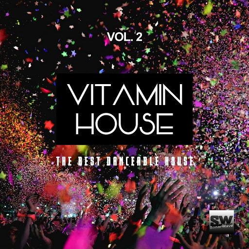 Daniele Sorrenti альбом Vitamin House, Vol. 2 (The Best Danceable House)