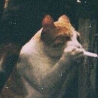 Анна Тубольцева | 