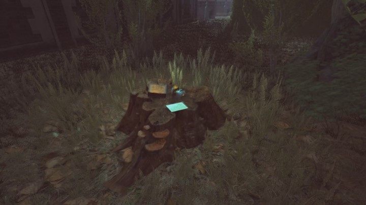 Получение маскировки в Lust for Darkness